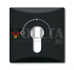 Busch-Jaeger 2155SLPZ-35 Allwetter44 панель переключателя с замком крышка, цвет:антрацит