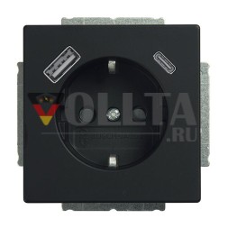 Busch-Jaeger 2CKA002011A6312 20 EUCB2USBAC-885 A+C USB-розетка SCHUKO