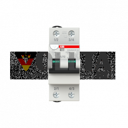 ABB Stotz-Kontakt 2CSR772440R1204 DS202CRMA-C20/0,03AP-R 2P A C20 30mA FI/LS переключатель