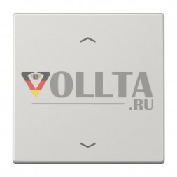 Jung LS5232FLG LS990  Радиоприемник крышка, цвет: светло серый