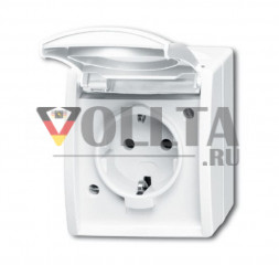 Busch-Jaeger 20EWN-54 Ocean SCHUKO-розетка  цвет: альпийский белый