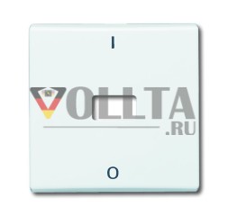 Переключатель клавишный Busch-Jaeger 2108-32, с печатью, открытый для символа белый