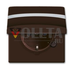 Busch-Jaeger 20 EUGKBN-31-101 Вставка для розетки SCHUKO®, с откидной крышкой и полем для надписи коричневого цвета