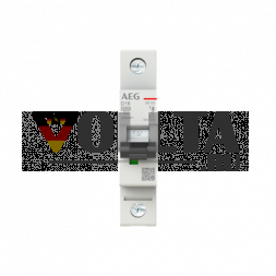 Busch-Jaeger 2CDS271088R0161 Elfaplus 10kA D-16A 1P автоматический выключатель