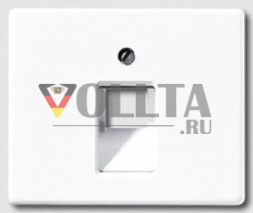 Jung SL569-1UAWW SL500 Телефон UAE/IAE/ISDN крышка, цвет алюминевый цвет: альпийский белый